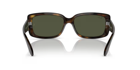Ray-Ban 0RB4389