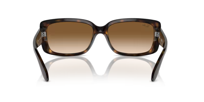 Ray-Ban 0RB4389