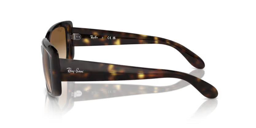 Ray-Ban 0RB4389