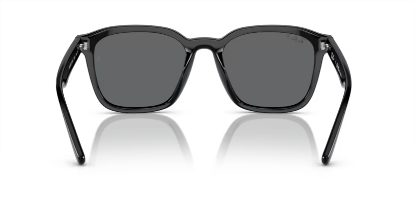 Ray-Ban 0RB4392D