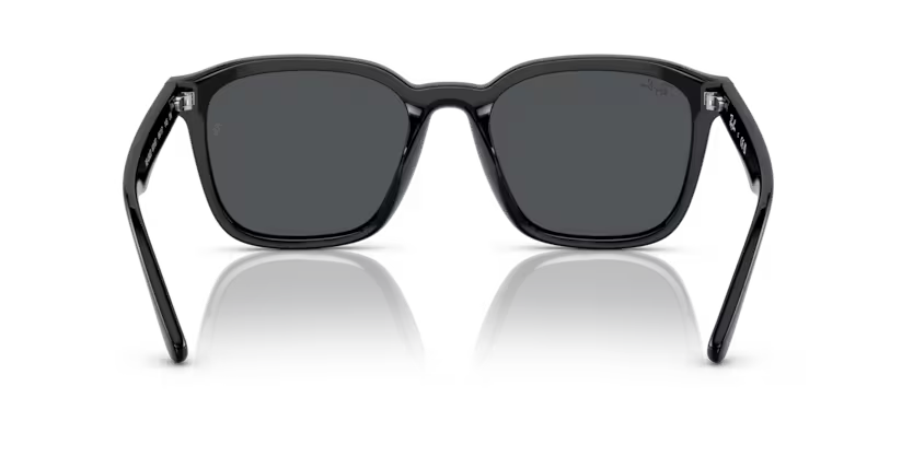 Ray-Ban 0RB4392D