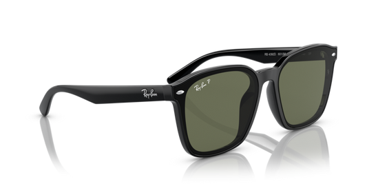Ray-Ban 0RB4392D