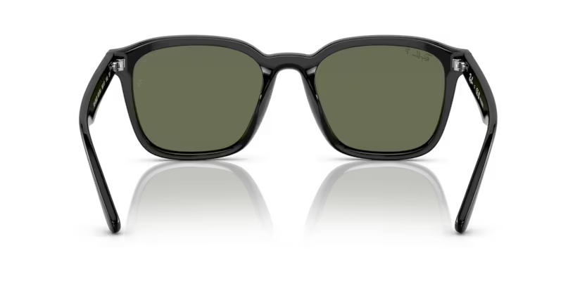Ray-Ban 0RB4392D