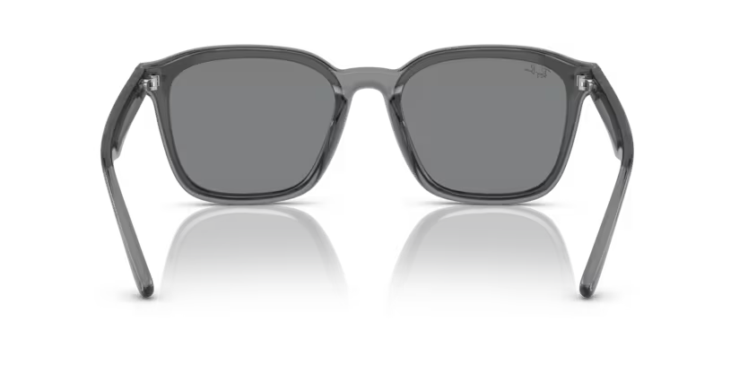 Ray-Ban 0RB4392D
