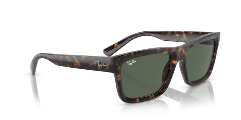 Ray-Ban 0RB4396
