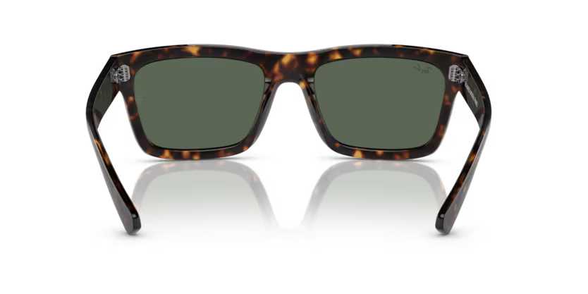 Ray-Ban 0RB4396