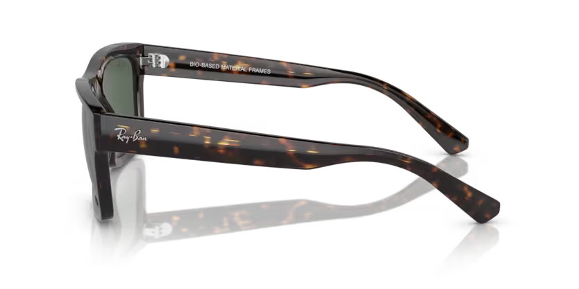 Ray-Ban 0RB4396