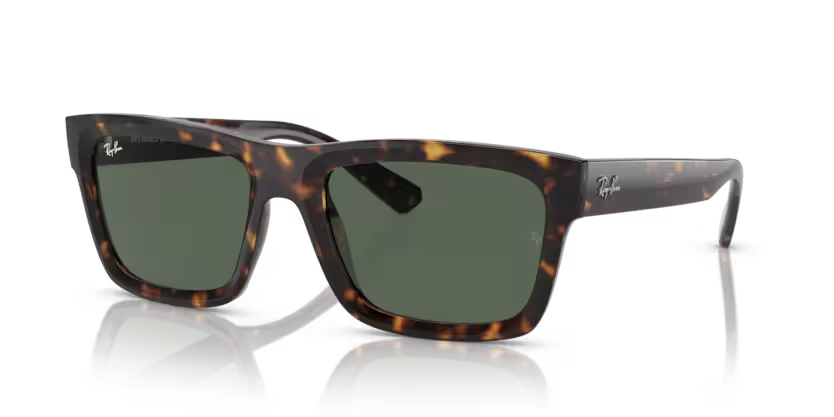 Ray-Ban 0RB4396
