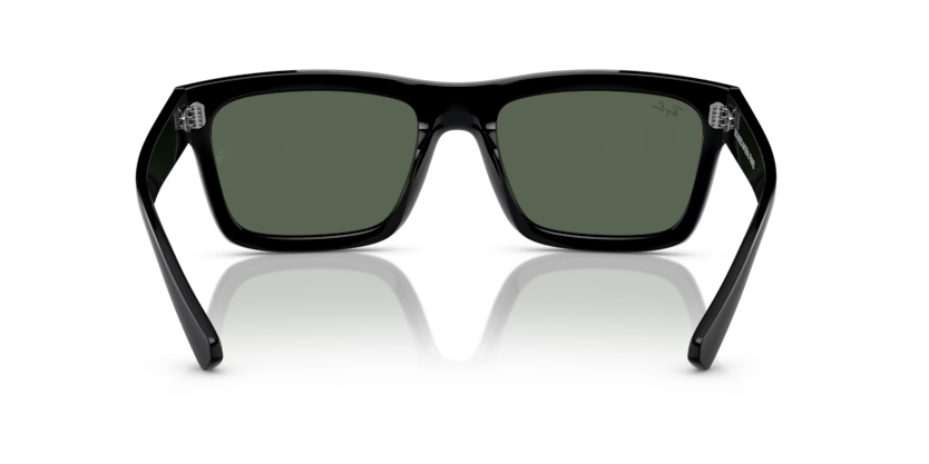 Ray-Ban 0RB4396
