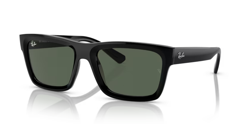 Ray-Ban 0RB4396