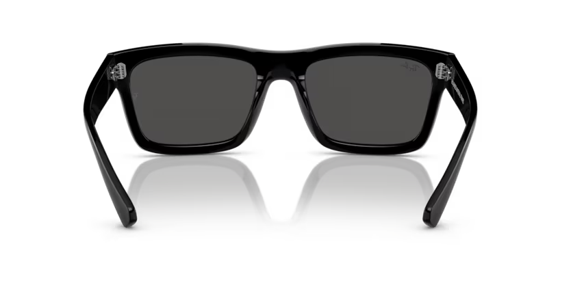 Ray-Ban 0RB4396