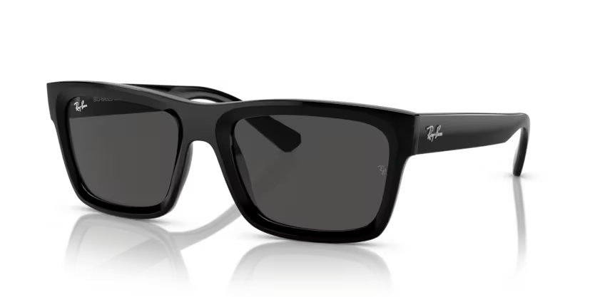 Ray-Ban 0RB4396