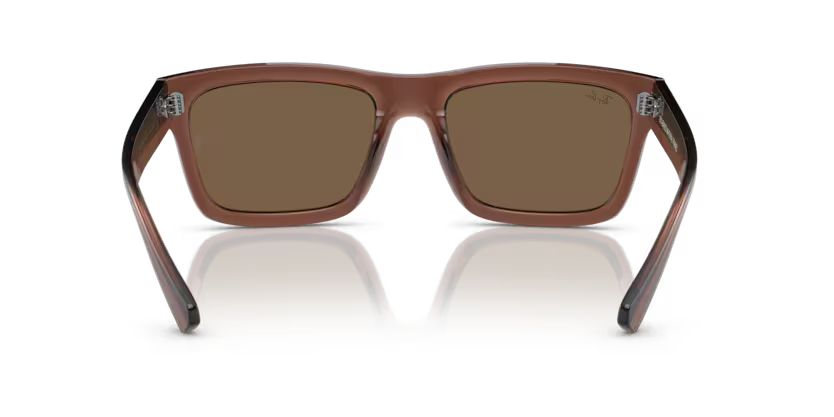 Ray-Ban 0RB4396