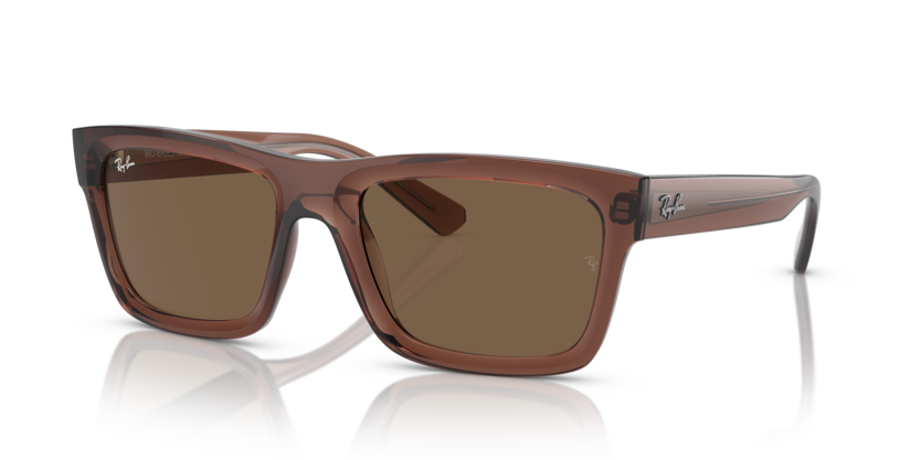 Ray-Ban 0RB4396
