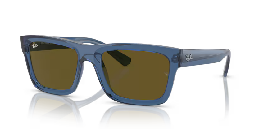 Ray-Ban 0RB4396