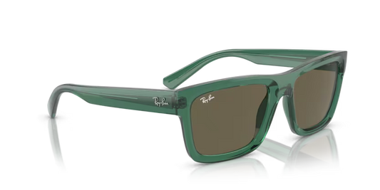 Ray-Ban 0RB4396