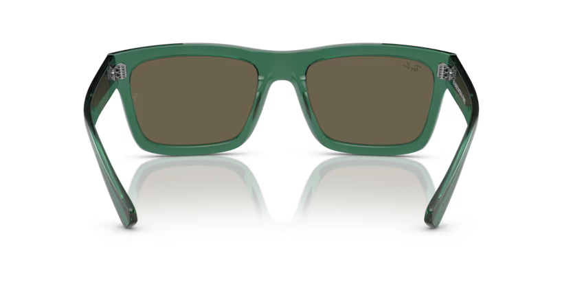 Ray-Ban 0RB4396