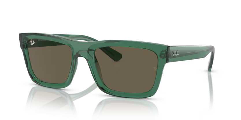 Ray-Ban 0RB4396