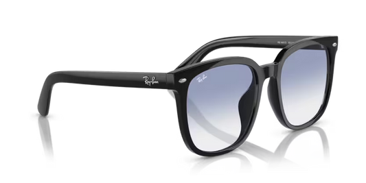 Ray-Ban 0RB4401D