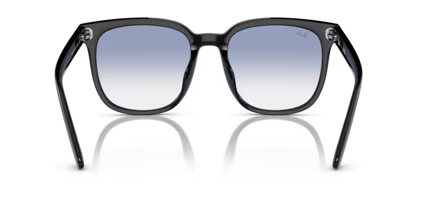 Ray-Ban 0RB4401D