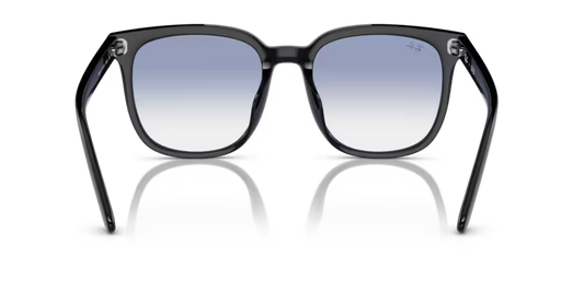 Ray-Ban 0RB4401D
