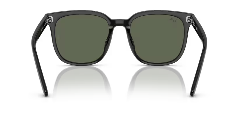 Ray-Ban 0RB4401D