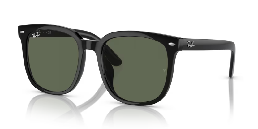 Ray-Ban 0RB4401D