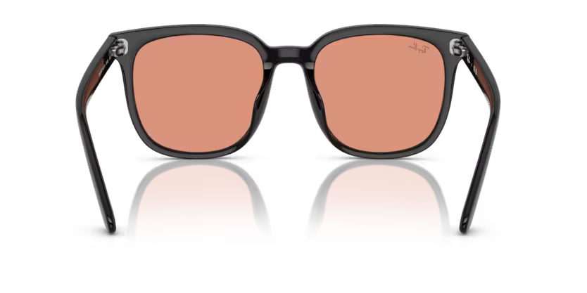 Ray-Ban 0RB4401D