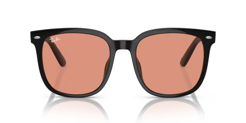 Ray-Ban 0RB4401D
