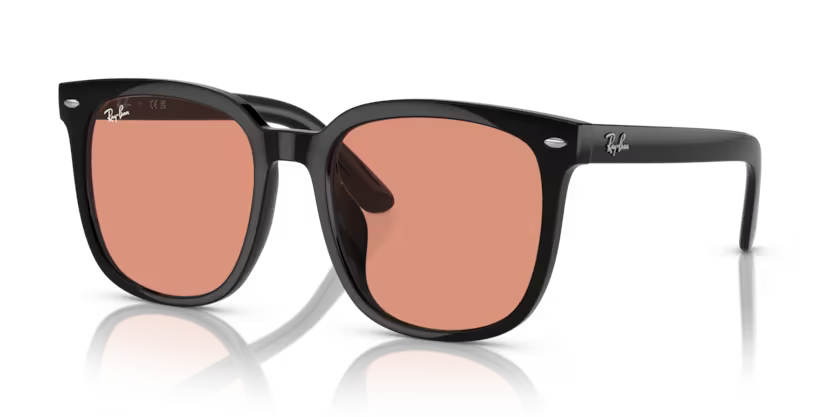 Ray-Ban 0RB4401D