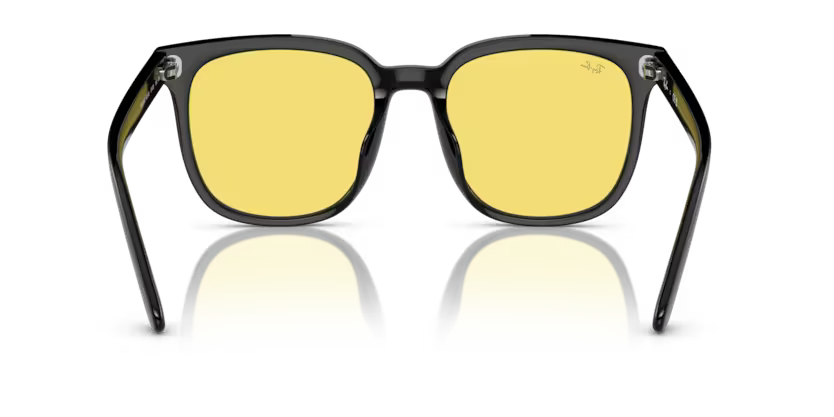 Ray-Ban 0RB4401D