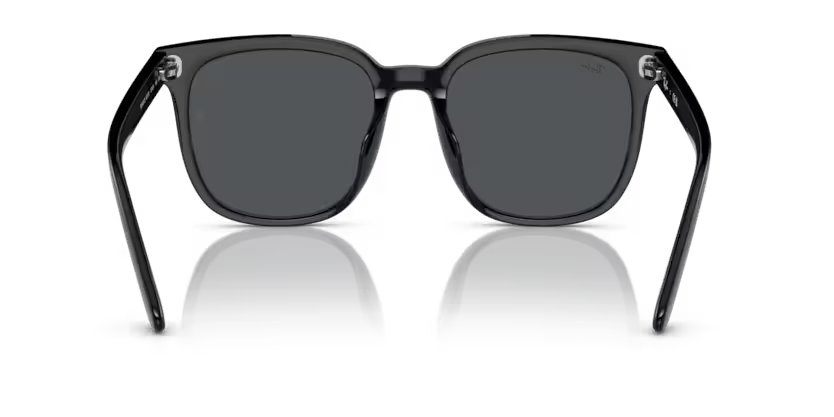 Ray-Ban 0RB4401D