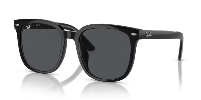 Ray-Ban 0RB4401D