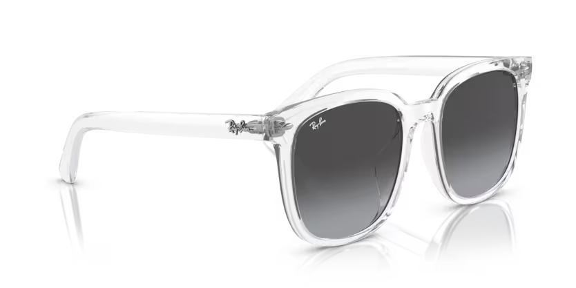Ray-Ban 0RB4401D