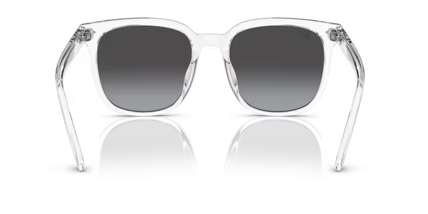 Ray-Ban 0RB4401D