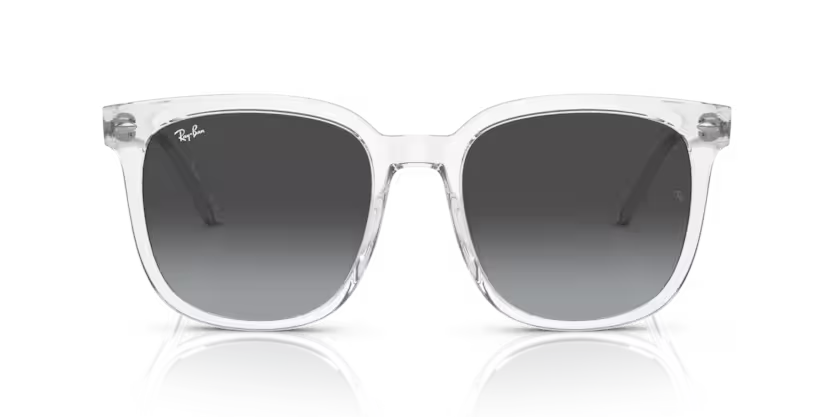 Ray-Ban 0RB4401D