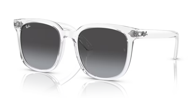 Ray-Ban 0RB4401D