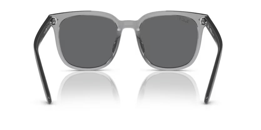 Ray-Ban 0RB4401D