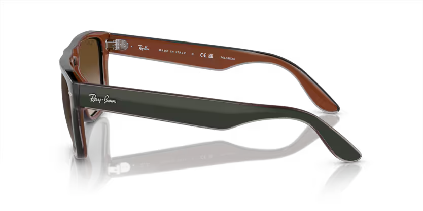 Ray-Ban 0RB4407