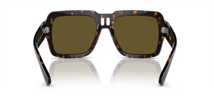 Ray-Ban 0RB4408