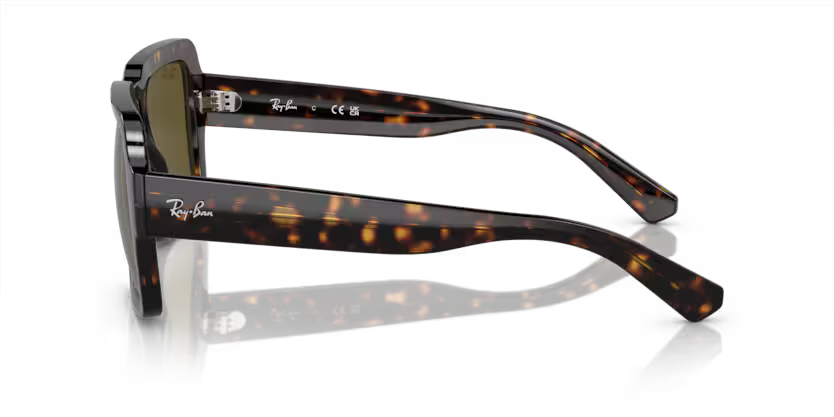 Ray-Ban 0RB4408