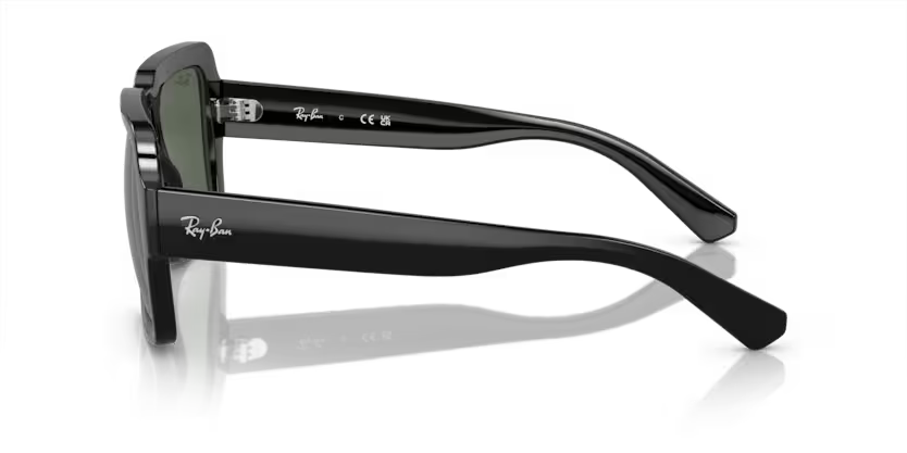 Ray-Ban 0RB4408