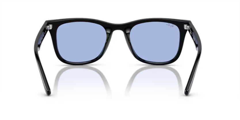 Ray-Ban 0RB4420