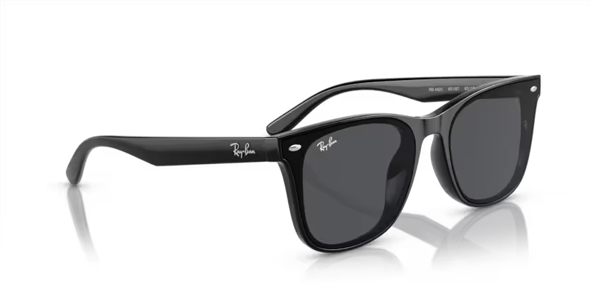 Ray-Ban 0RB4420