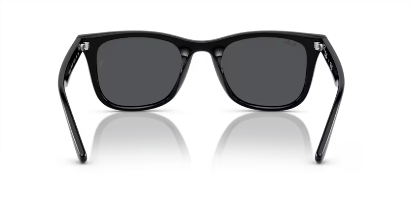 Ray-Ban 0RB4420
