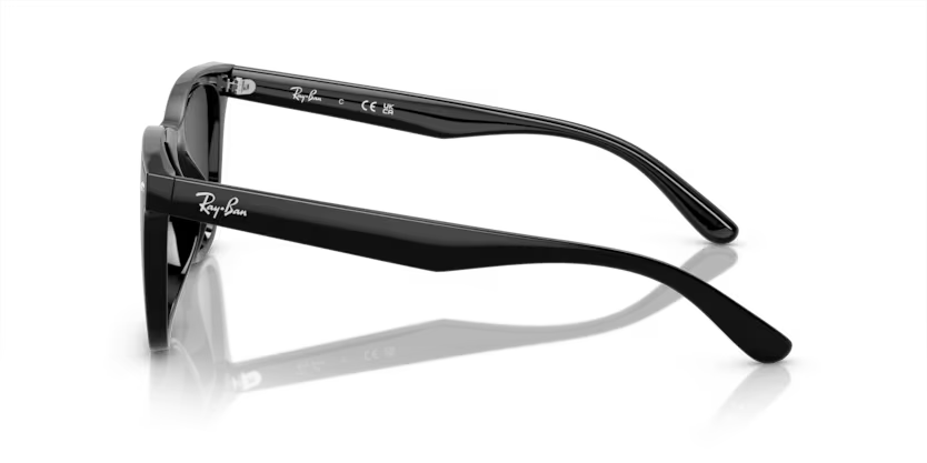 Ray-Ban 0RB4420
