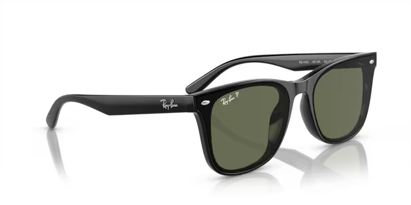 Ray-Ban 0RB4420