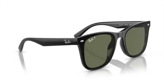 Ray-Ban 0RB4420