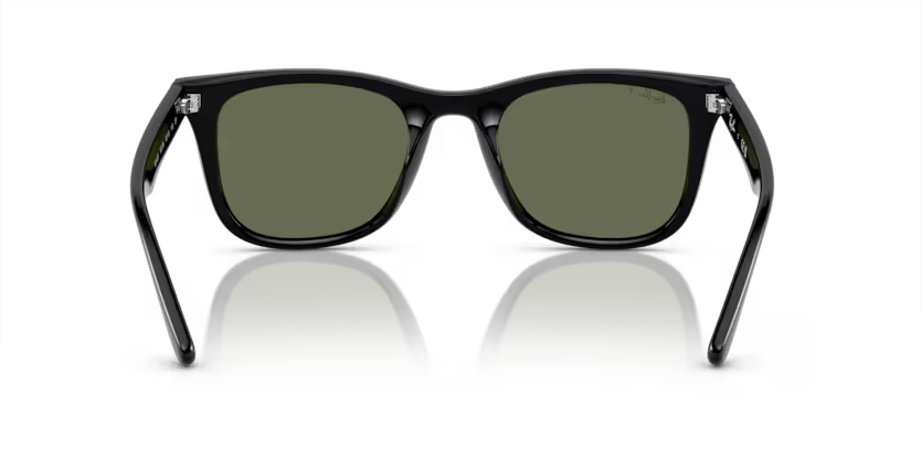 Ray-Ban 0RB4420