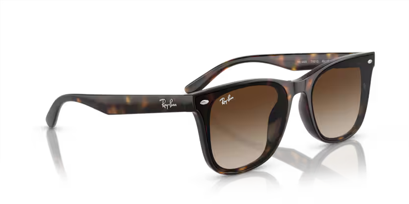 Ray-Ban 0RB4420